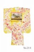 4yellow_5_314.jpg