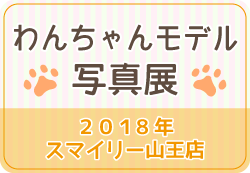 banner_wanwan2018_SMS.png