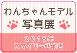 banner_wanwan2018_SBH.png