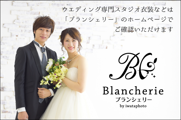 写真だけの結婚式 秋田 秋田市 岩手 盛岡市 青森 弘前市 の写真館 岩田写真 七五三 成人記念 振袖 写真だけの結婚式 マタニティフォト